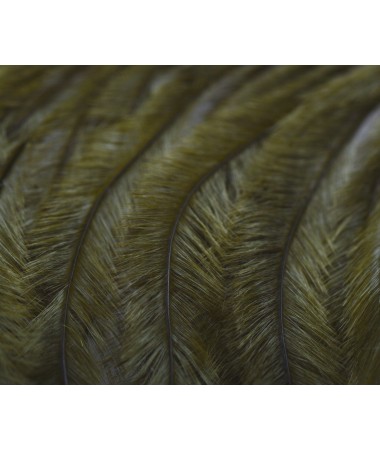 OSTRICH PLUMES - Olive